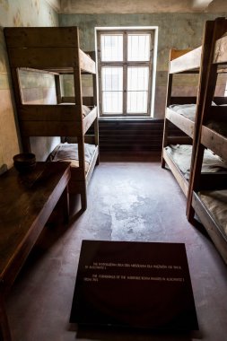 Auschwitz toplama kampında sergide.