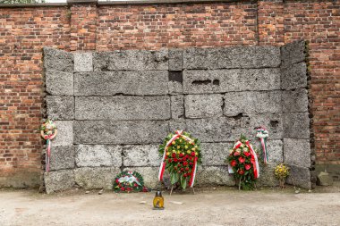 Auschwitz Toplama Kampı