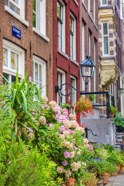 Krásné domy v Amsterdamu — Stock fotografie