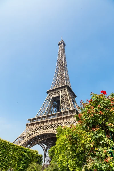 Eiffeltornet i Paris — Stockfoto