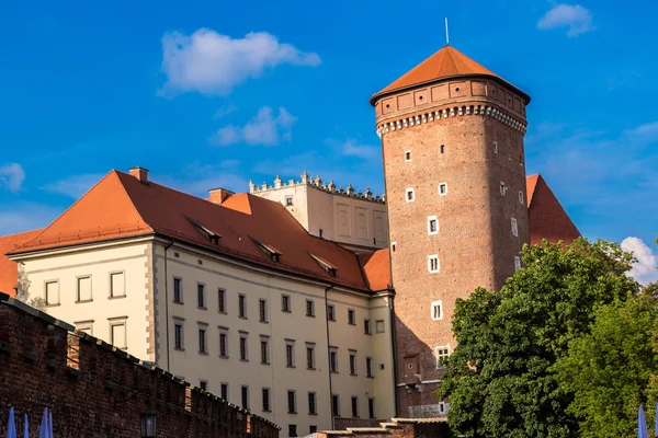 Poland, Wawel Cathedral — Stock Photo, Image