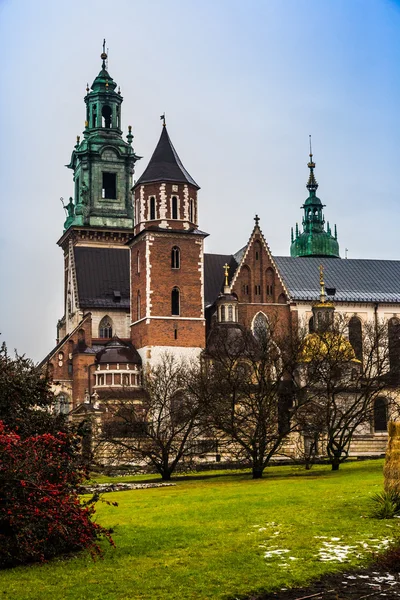 Pologne, Cathédrale Wawel à Cracovie — Photo