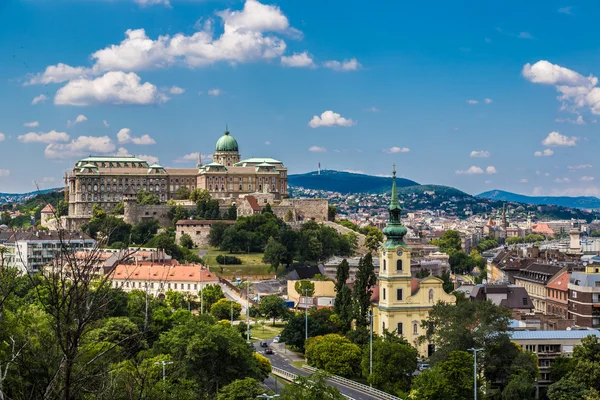 Budapeste Palácio Real vista da manhã . — Fotografia de Stock