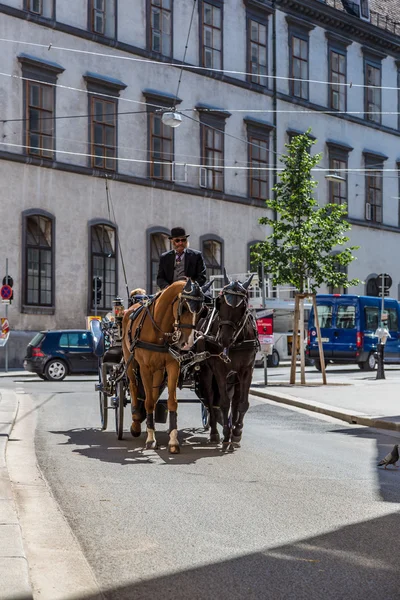 Häst och vagn i Wien — Stockfoto