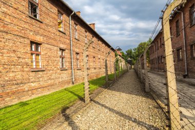 Auschwitz Toplama Kampı