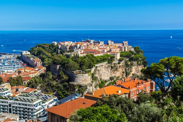 Prince 's palace in Monte Carlo, Monaco — стоковое фото
