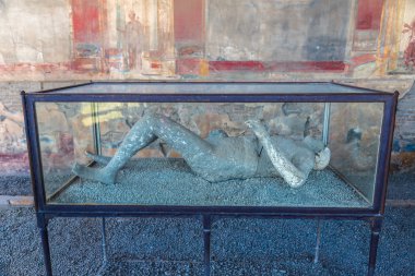 Pompei şehrinin yapay doku