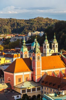 Aerial view of Ljubljana in Slovenia clipart