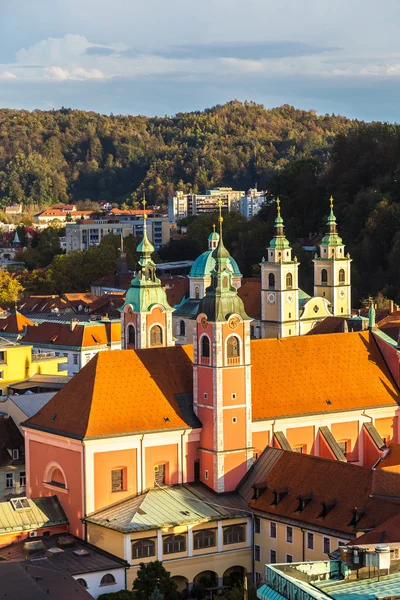 Ljubljana, Slovenya hava görünümünü — Stok fotoğraf