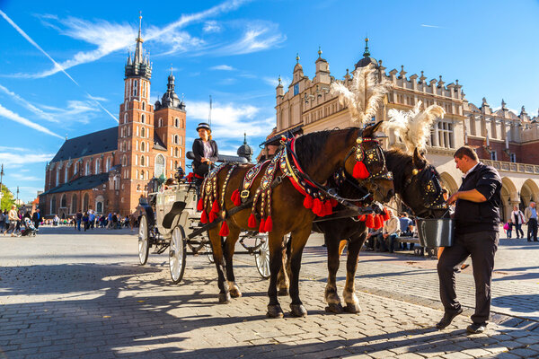 Horse carriage at main square in Krakow