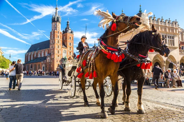 Pferdekutsche am Hauptplatz in Krakau — Stockfoto