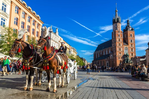 Carruaje de caballos en la plaza principal de Cracovia —  Fotos de Stock