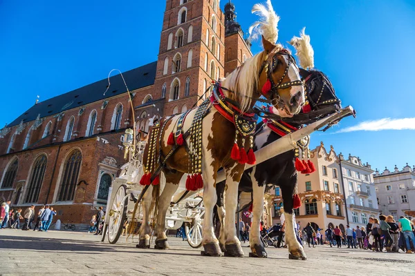 Carruagem de cavalo na praça principal em Cracóvia — Fotografia de Stock
