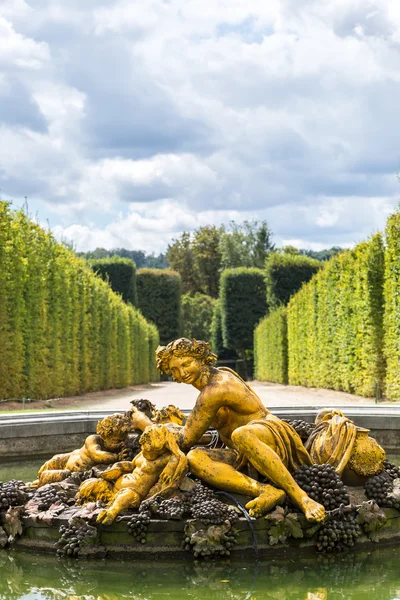 Фонтан у садах Версальський палац — стокове фото