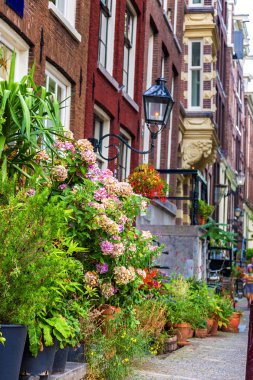 amsterdam'ın güzel evde