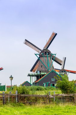 Hollanda'da Rüzgar değirmenleri