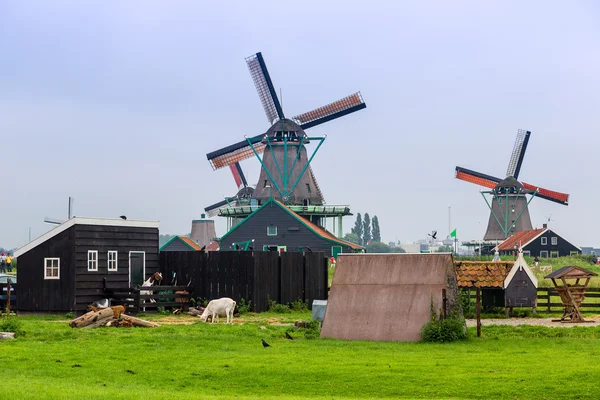 Molinos de viento en Holanda — Foto de Stock