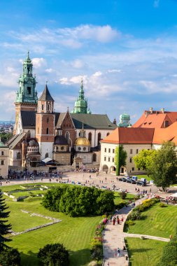 Krakow 'daki Wawel Katedrali