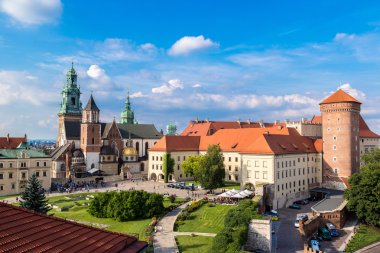 Krakow 'daki Wawel Katedrali