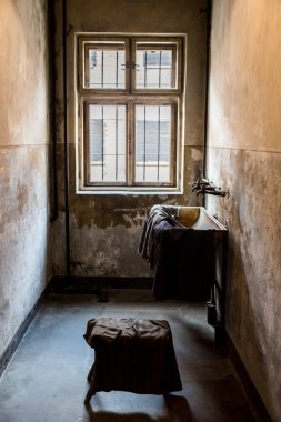 Auschwitz toplama kampında sergide.