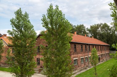 Alman toplama kampı Auschwitz