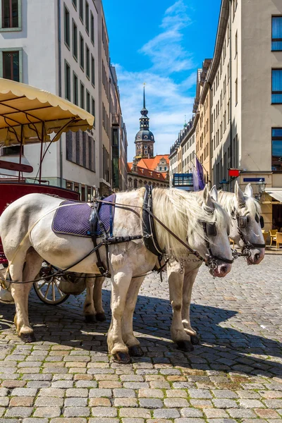 Carrozze a cavallo a Dresda — Foto Stock