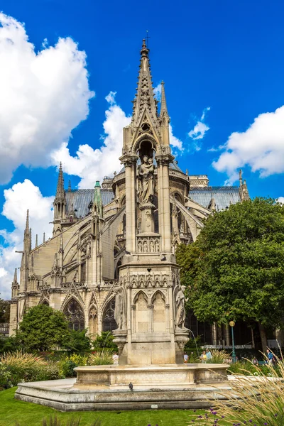 Notre dame de Paris in Francia — Foto Stock