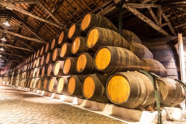 Barrels in  wine cellar in Porto