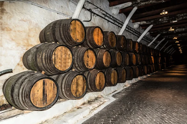 Barrels in  wine cellar in Porto — стокове фото