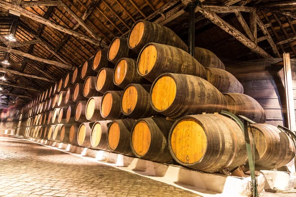 Fässer im Weinkeller in Porto — Stockfoto