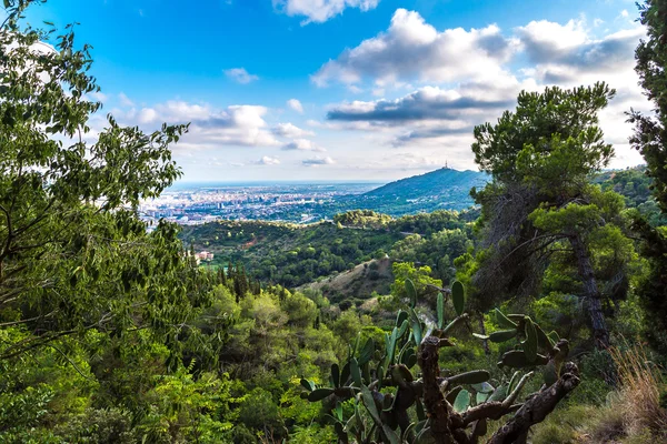 Veduta di Barcellona dal Parco Guell — Foto Stock