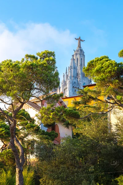 Church of the Sacred heart of Jesus — Stock Photo, Image