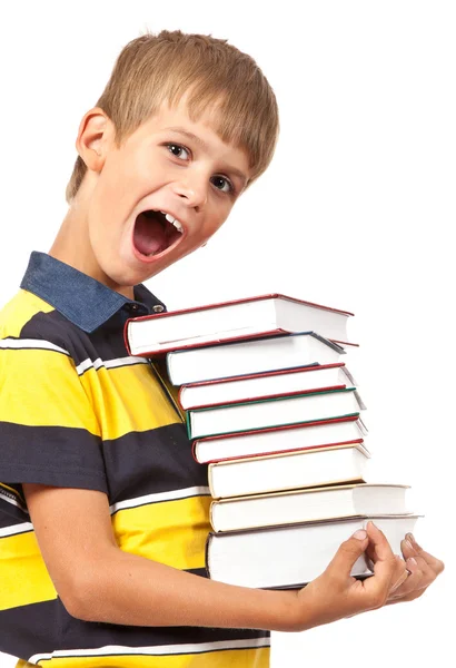 School boy is holding books Royalty Free Stock Photos