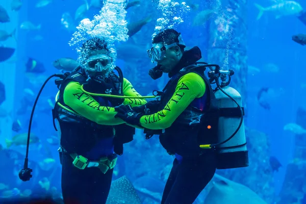 Enorme acuario en Dubai — Foto de Stock