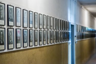 Auschwitz toplama kampında sergide.