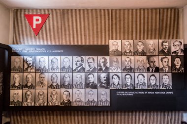 Auschwitz toplama kampında sergide.