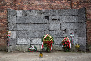 Auschwitz Toplama Kampı