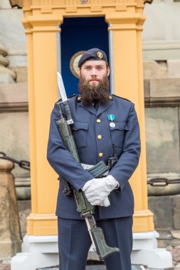 Stockholm Kraliyet muhafızları