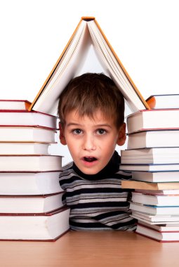 öğrenci ve bir yığın kitap