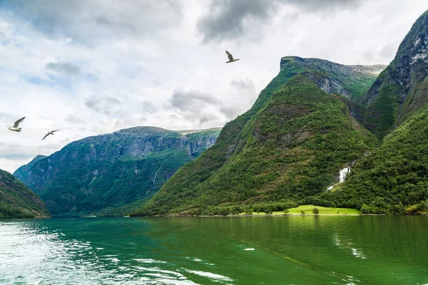 View of Sognefjord in Norway — Stock Photo, Image