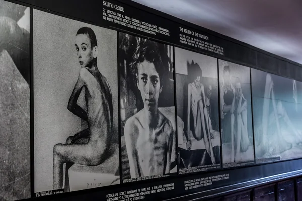 Exhibition in Concentration camp in Auschwitz. — Stock Photo, Image
