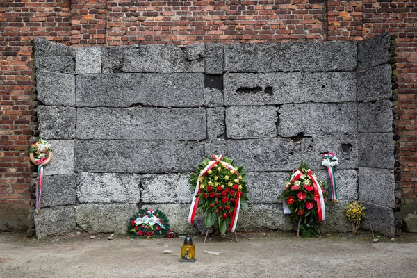 Campo de concentración Auschwitz — Foto de Stock