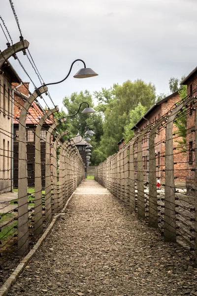 Στρατόπεδο συγκέντρωσης auschwitz — Φωτογραφία Αρχείου