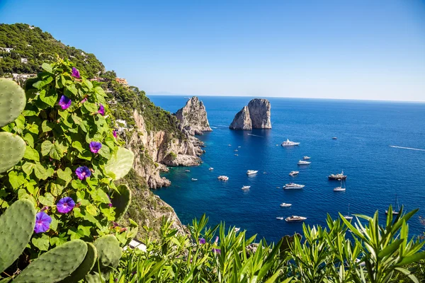 Capri Island i Italia – stockfoto