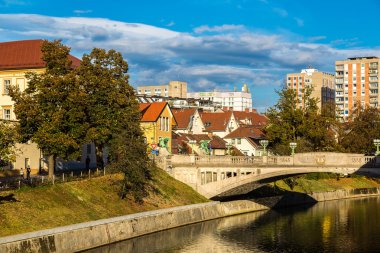 Ljubljana nehir şehir merkezinde