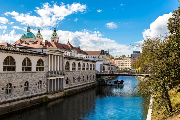 Fiume Lubiana in centro — Foto Stock