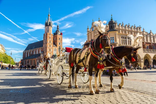 Pferdekutschen am Hauptplatz in Krakau — Stockfoto