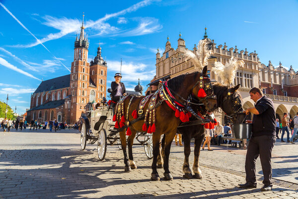 Horse carriages at main square in Krakow