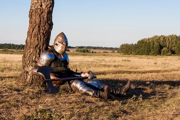 Medieval knight with axe Stock Image