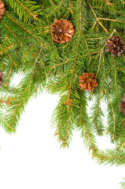 Noel arkaplanı. Eve çerçevesi